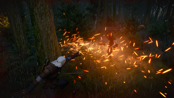 Geralt using a fire spell